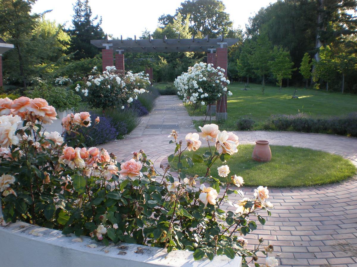 Shamrock Garden B&B Airport Christchurch Dış mekan fotoğraf