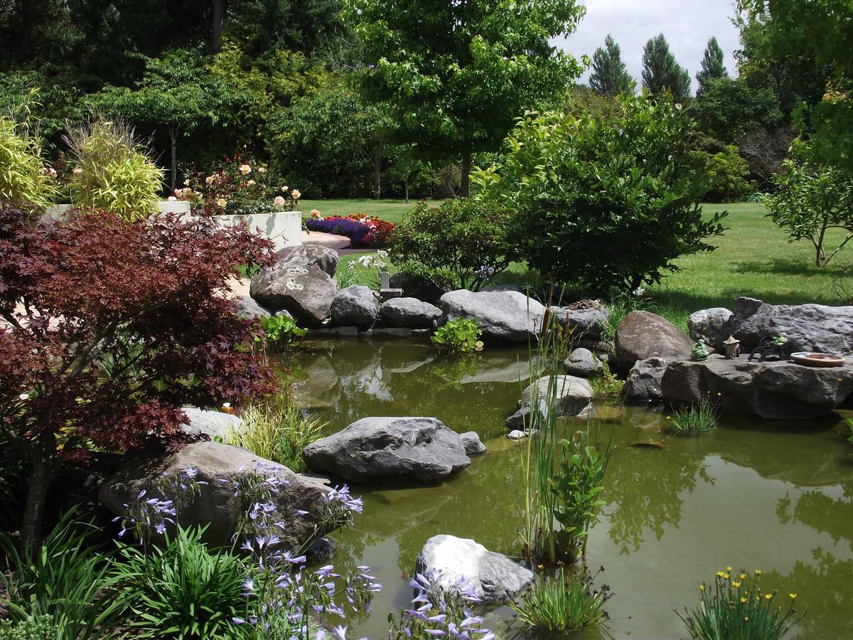 Shamrock Garden B&B Airport Christchurch Dış mekan fotoğraf