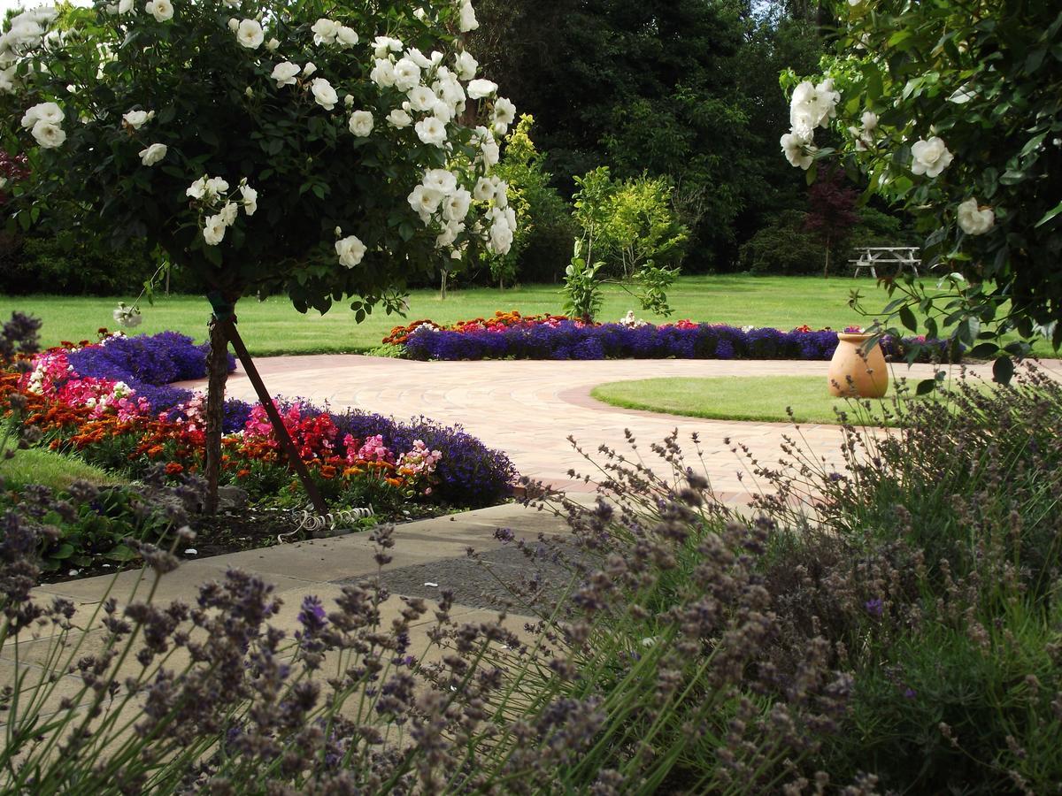 Shamrock Garden B&B Airport Christchurch Dış mekan fotoğraf