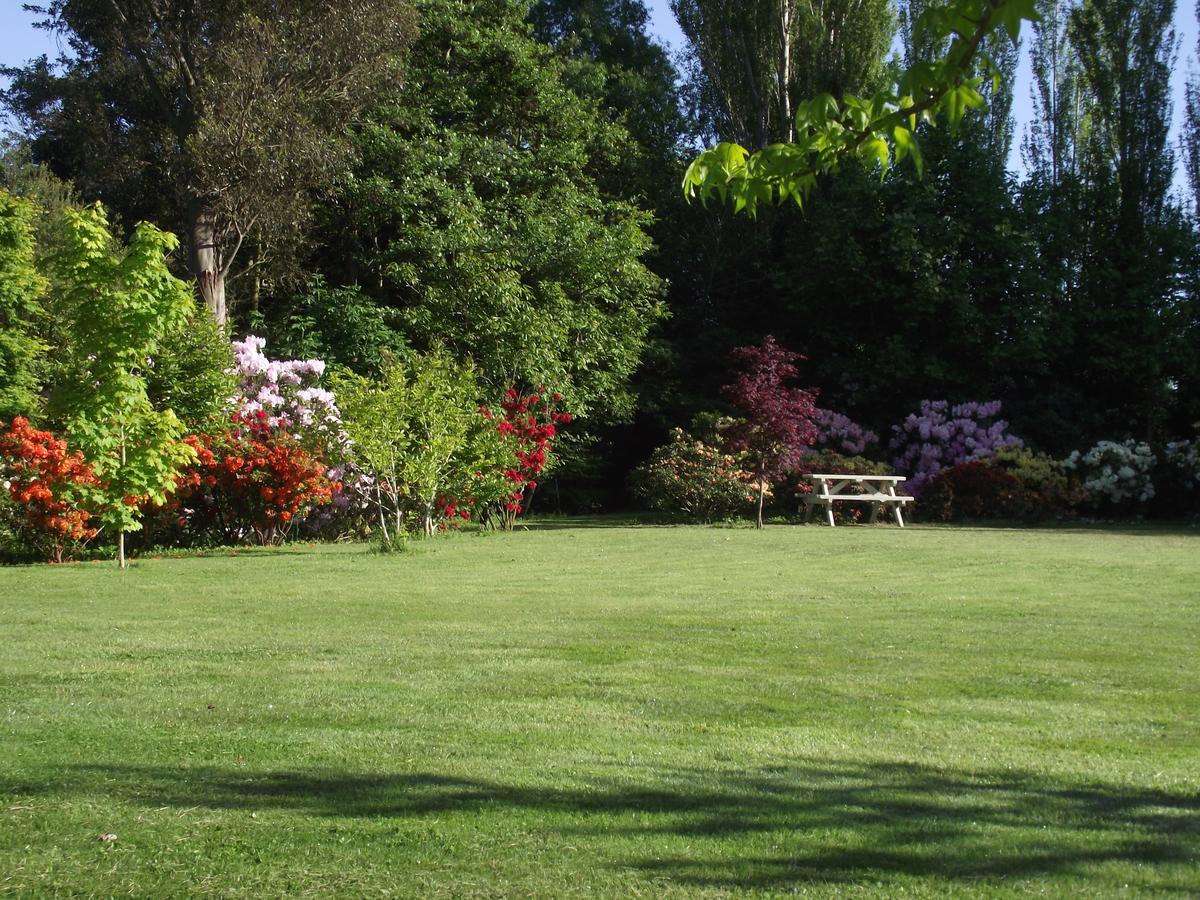 Shamrock Garden B&B Airport Christchurch Dış mekan fotoğraf