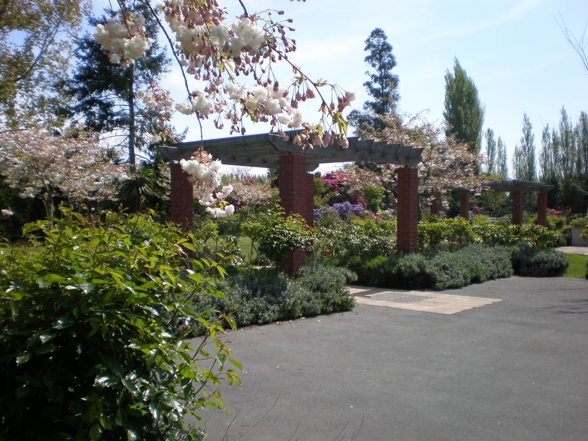 Shamrock Garden B&B Airport Christchurch Dış mekan fotoğraf