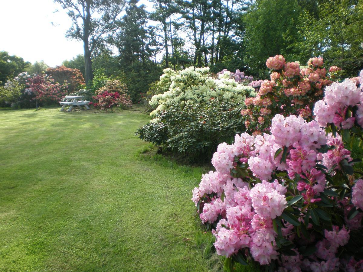 Shamrock Garden B&B Airport Christchurch Dış mekan fotoğraf