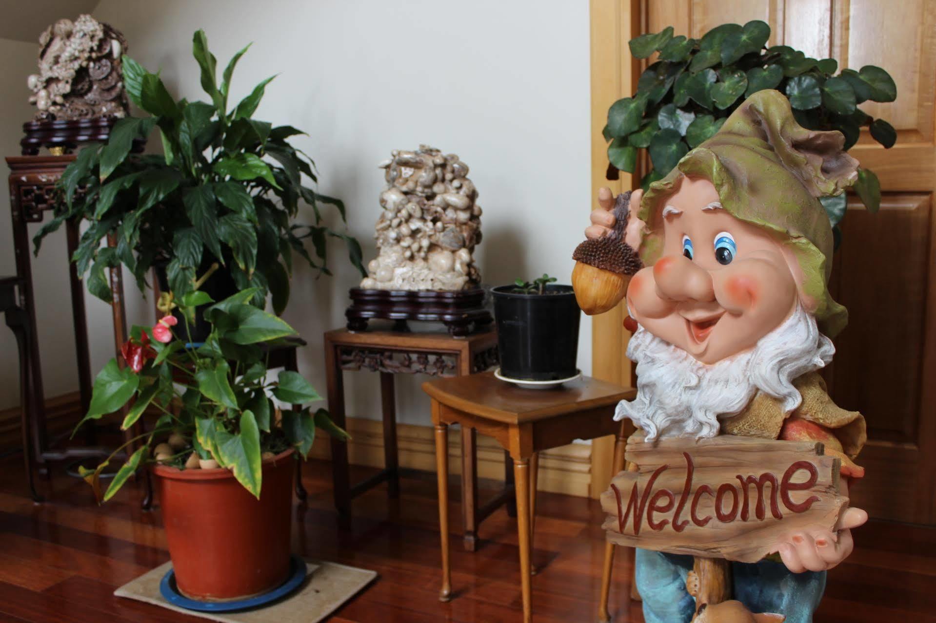 Shamrock Garden B&B Airport Christchurch Dış mekan fotoğraf